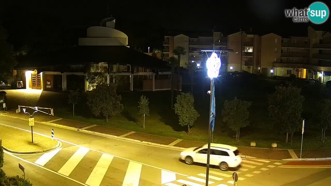 Camera en vivo Rosolina mare