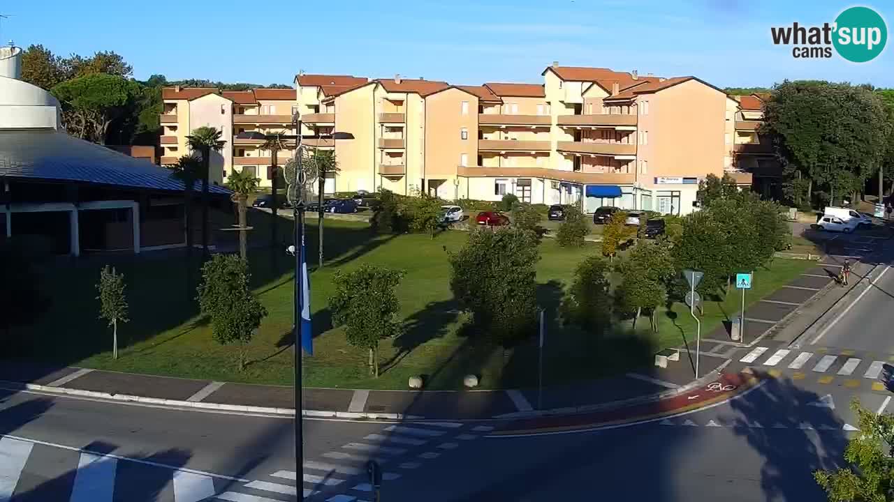 Livecam Rosolina mare