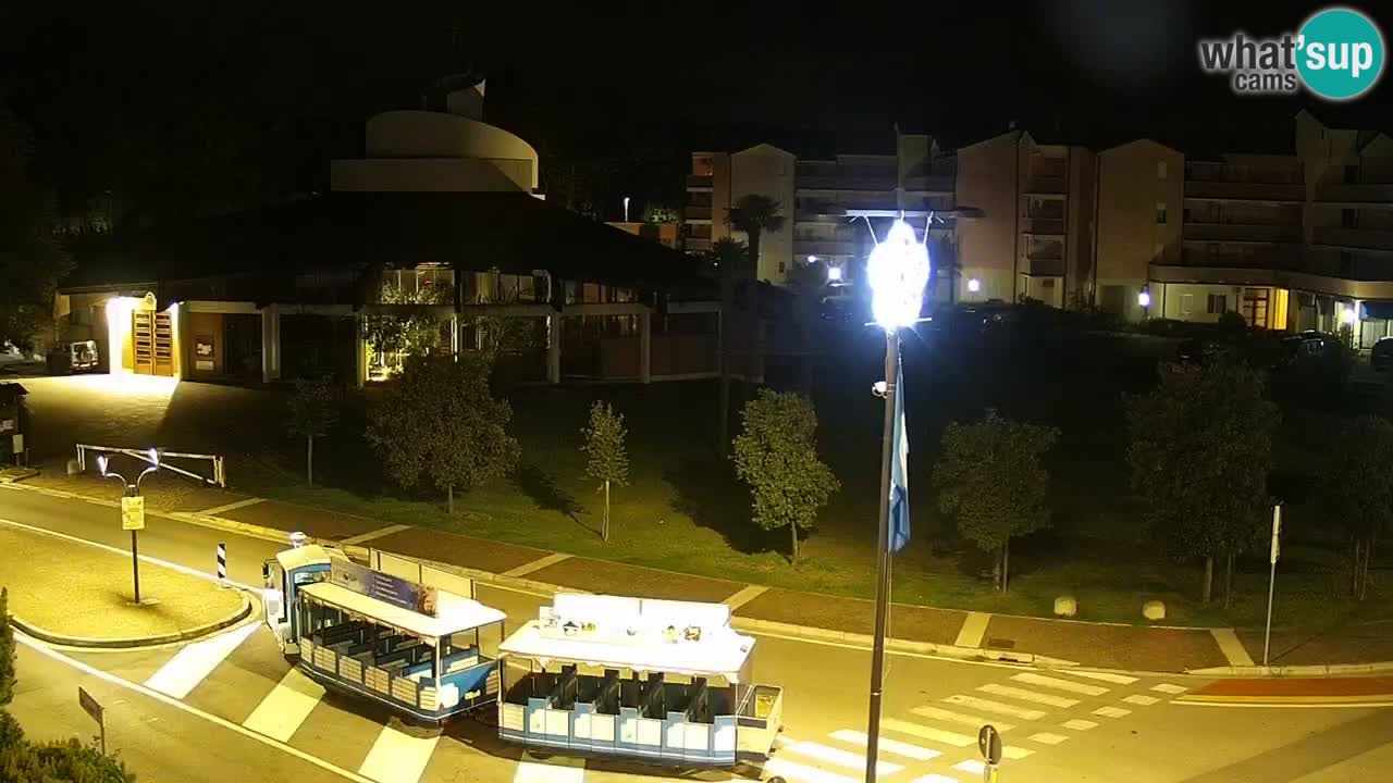 Camera en vivo Rosolina mare
