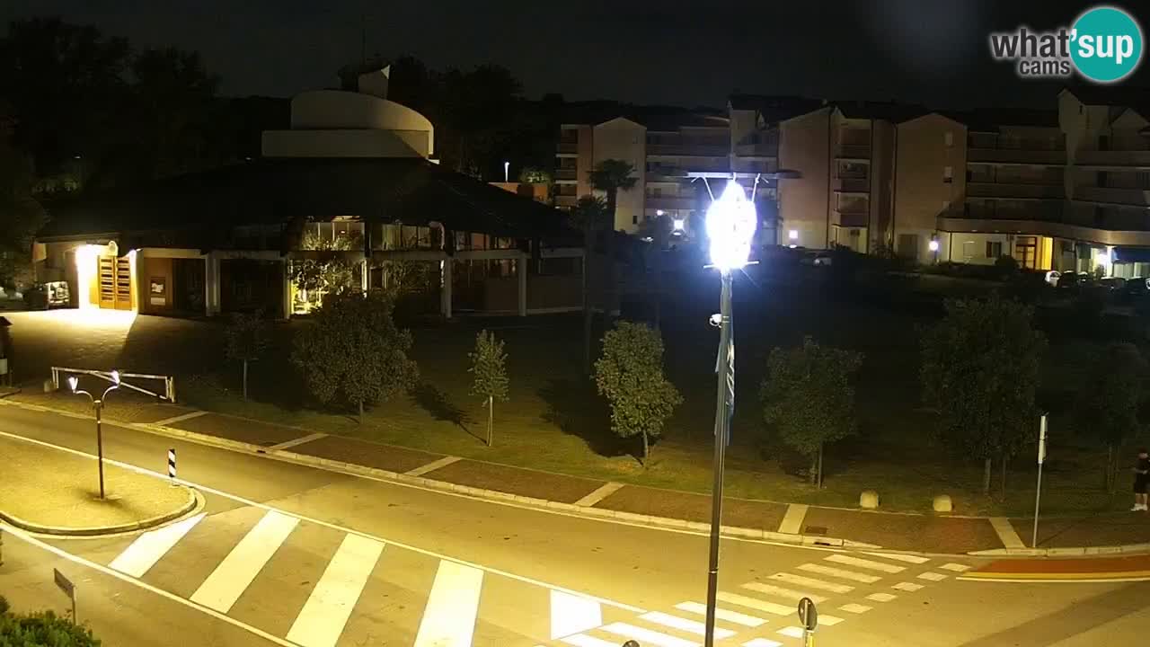 Camera en vivo Rosolina mare