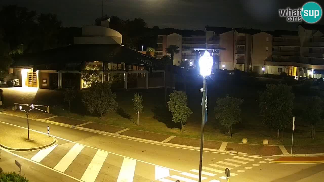 Livecam Rosolina mare