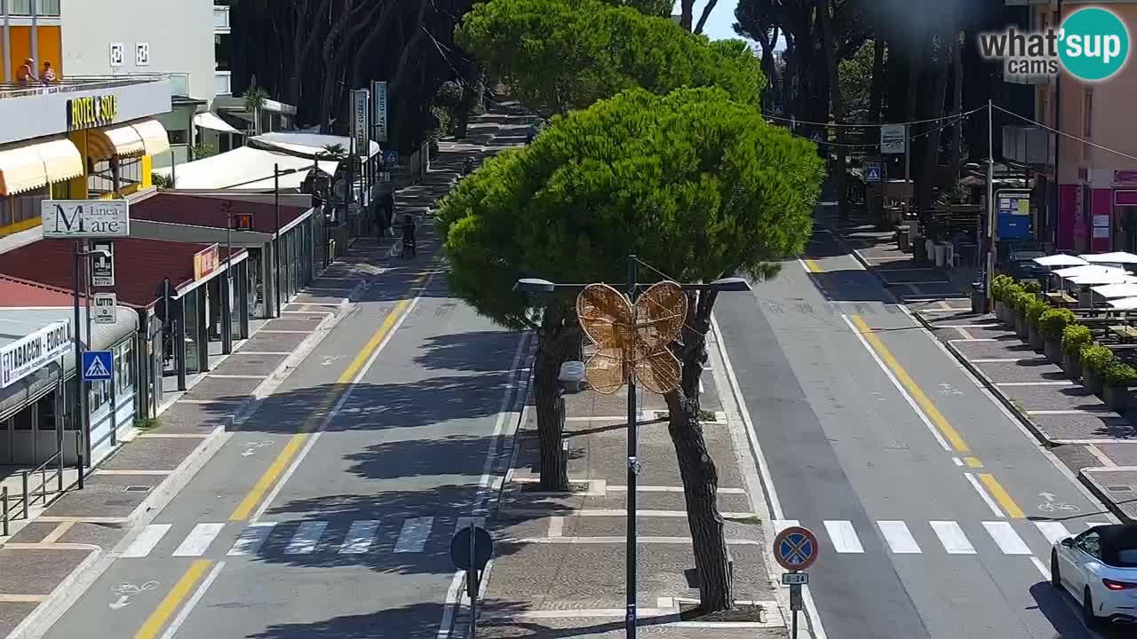 Livecam Rosolina mare