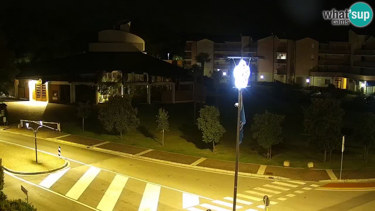 Livecam Rosolina mare