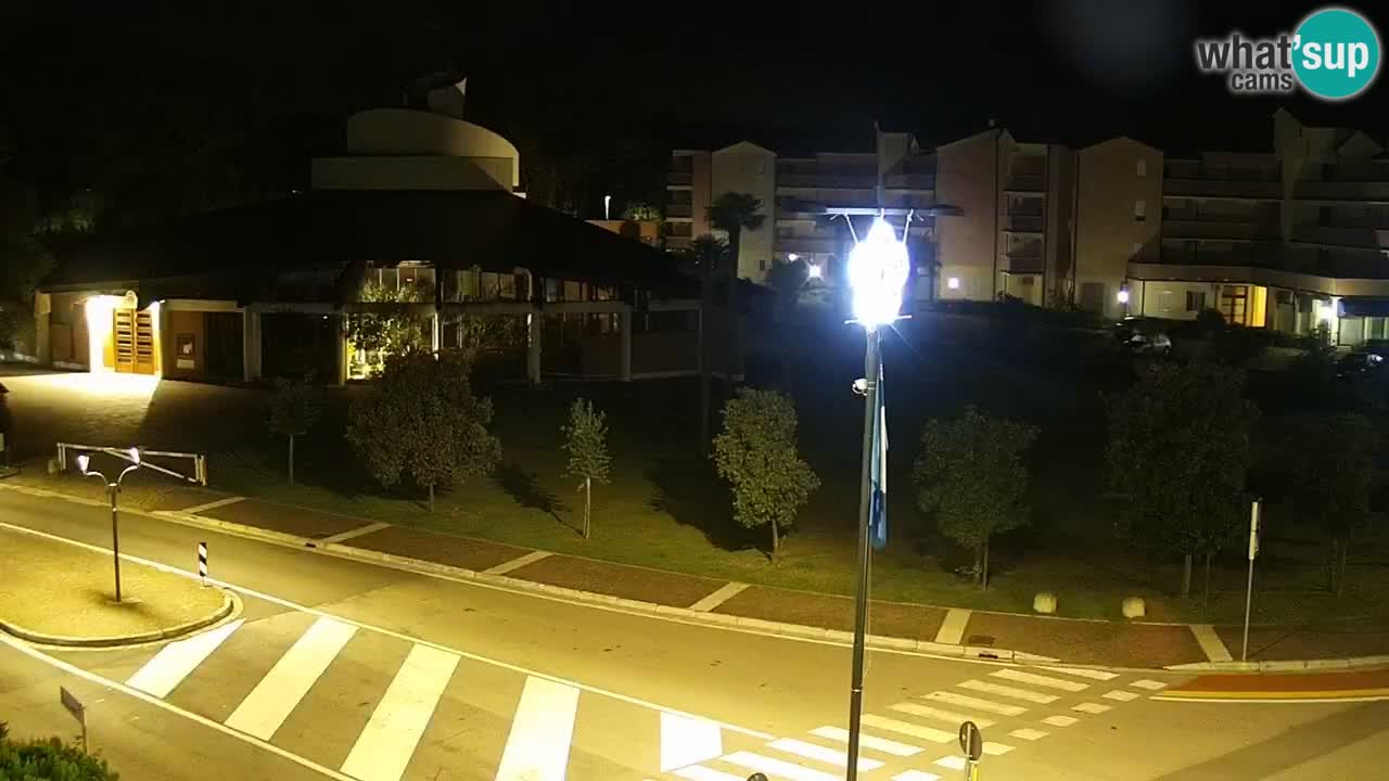 Camera en vivo Rosolina mare