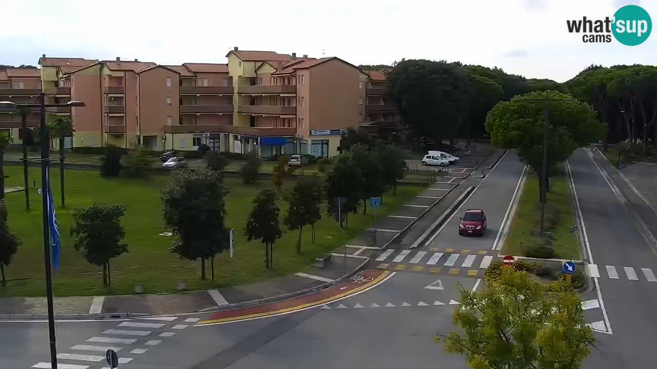 Camera en vivo Rosolina mare