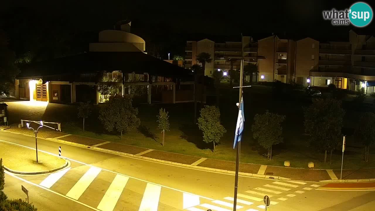 Livecam Rosolina mare