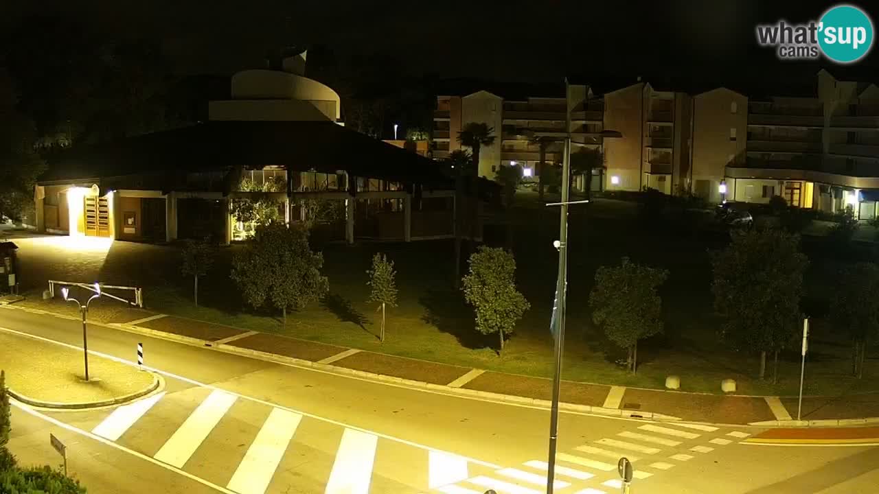 Camera en vivo Rosolina mare