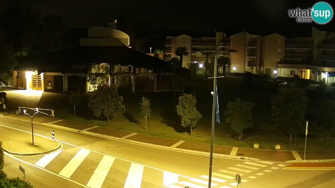 Livecam Rosolina mare