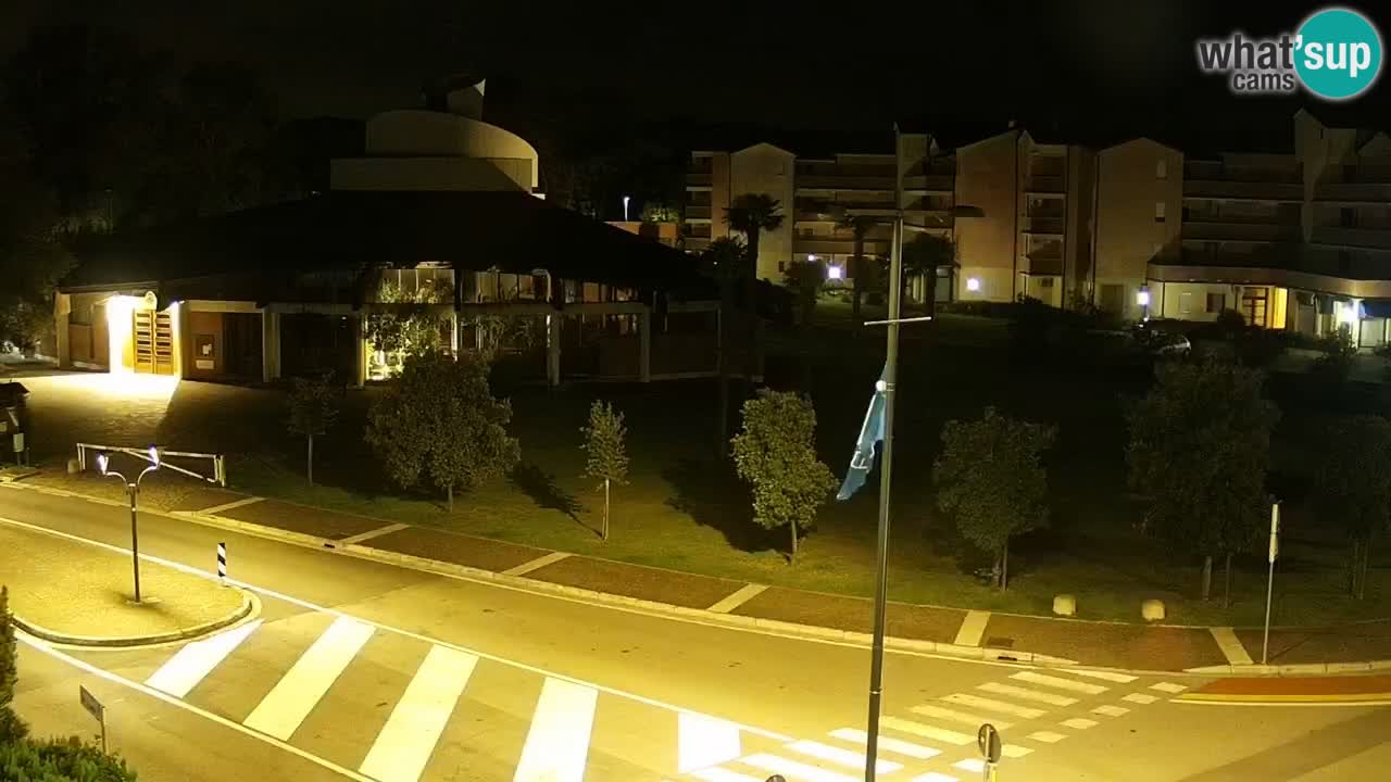 Camera en vivo Rosolina mare