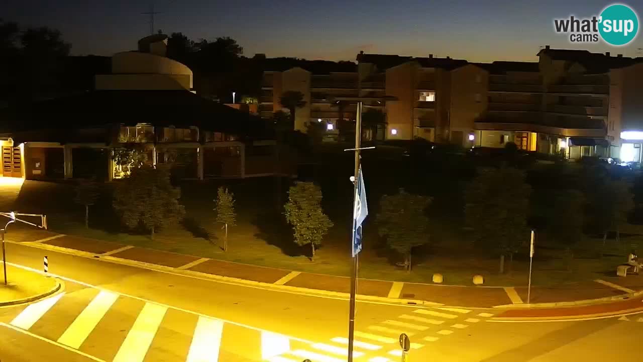 Livecam Rosolina mare