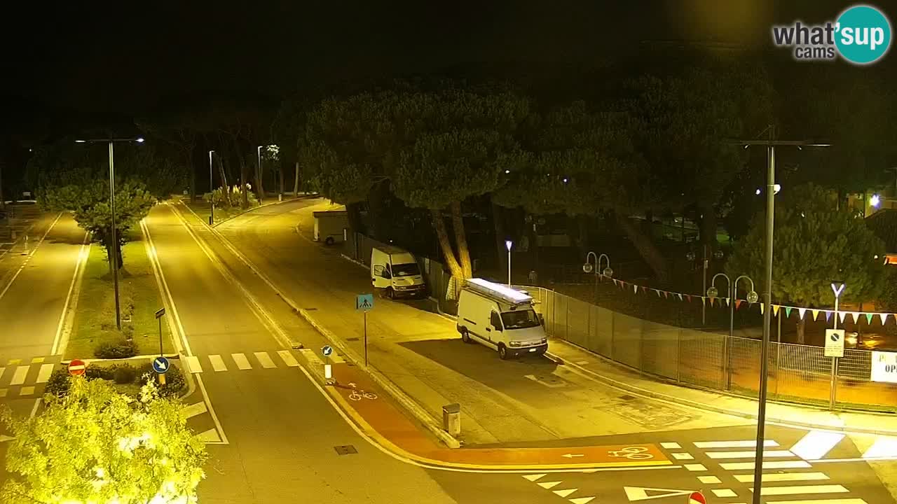 Camera en vivo Rosolina mare