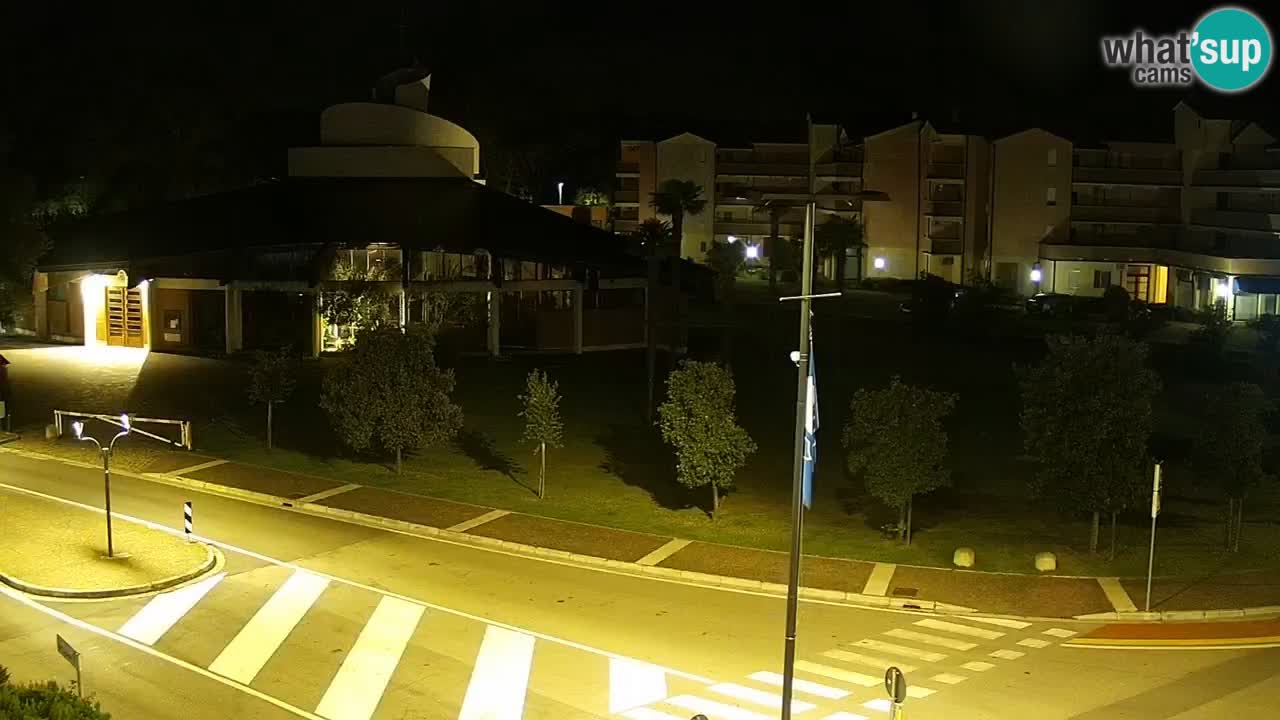 Camera en vivo Rosolina mare