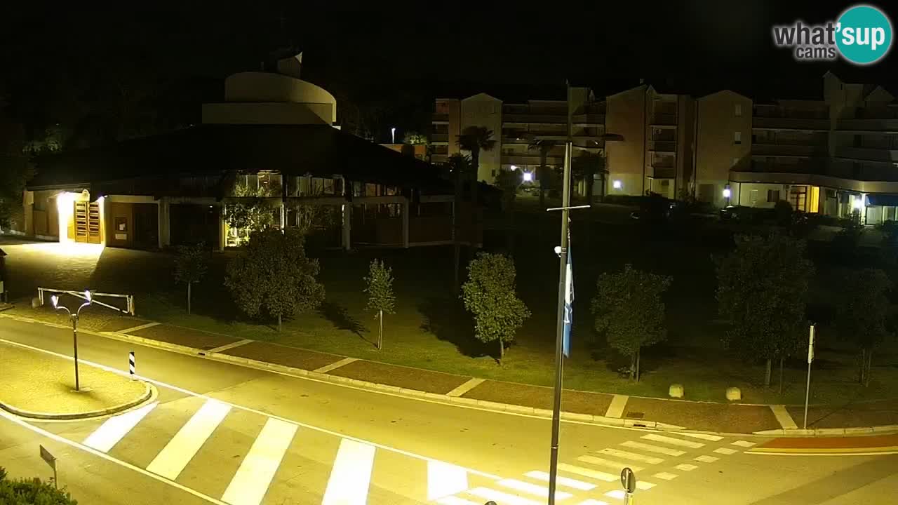Livecam Rosolina mare