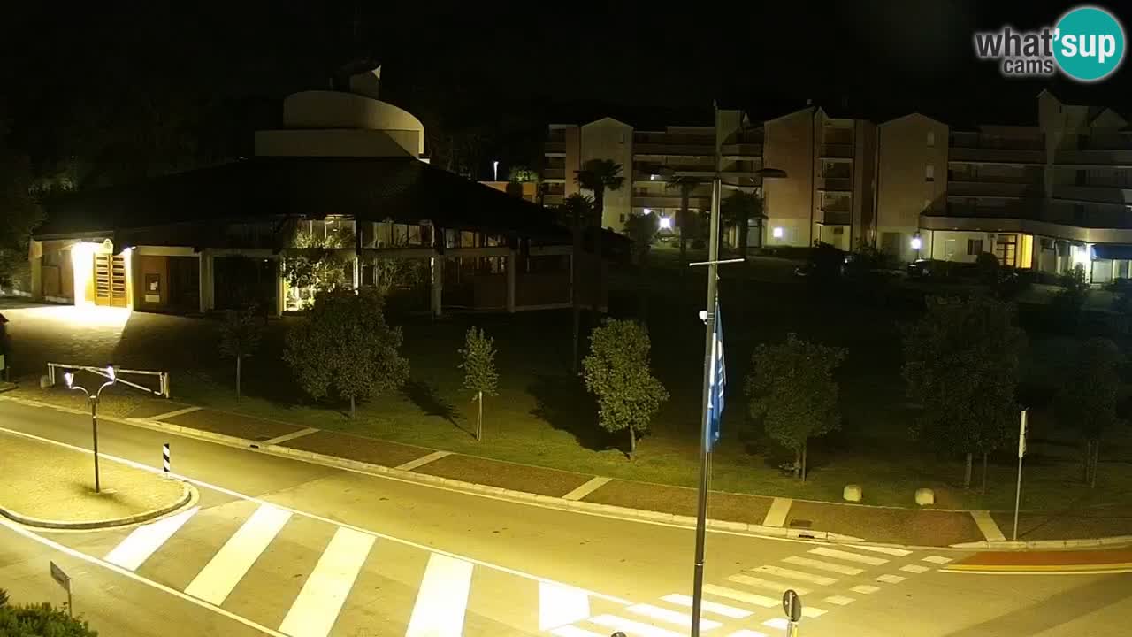 Camera en vivo Rosolina mare