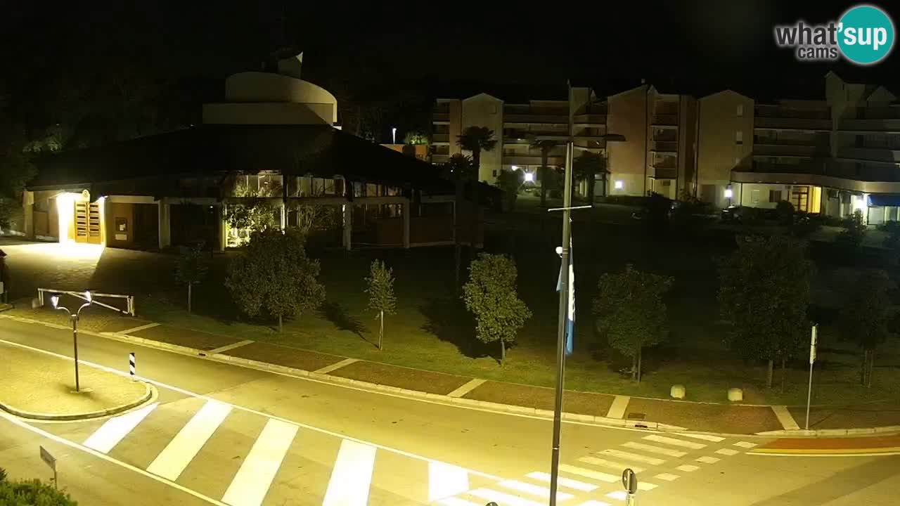 Camera en vivo Rosolina mare