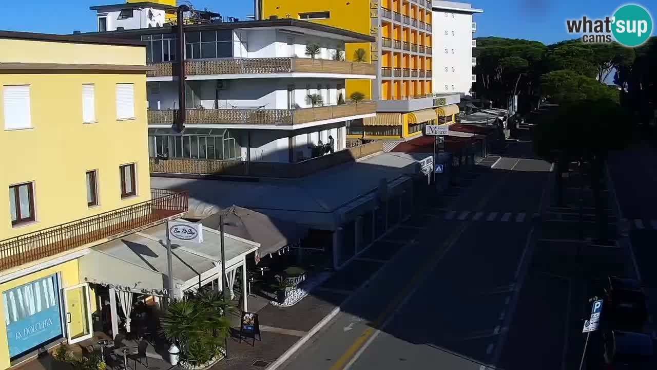 Camera en vivo Rosolina mare