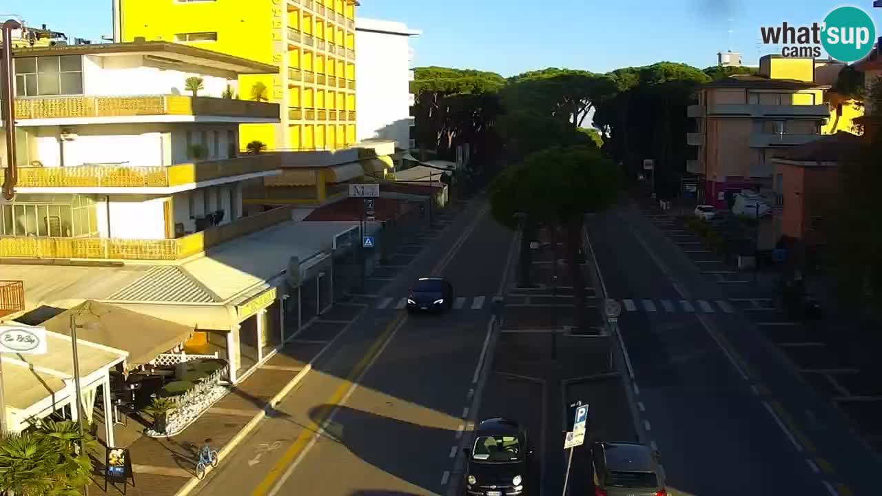 Camera en vivo Rosolina mare