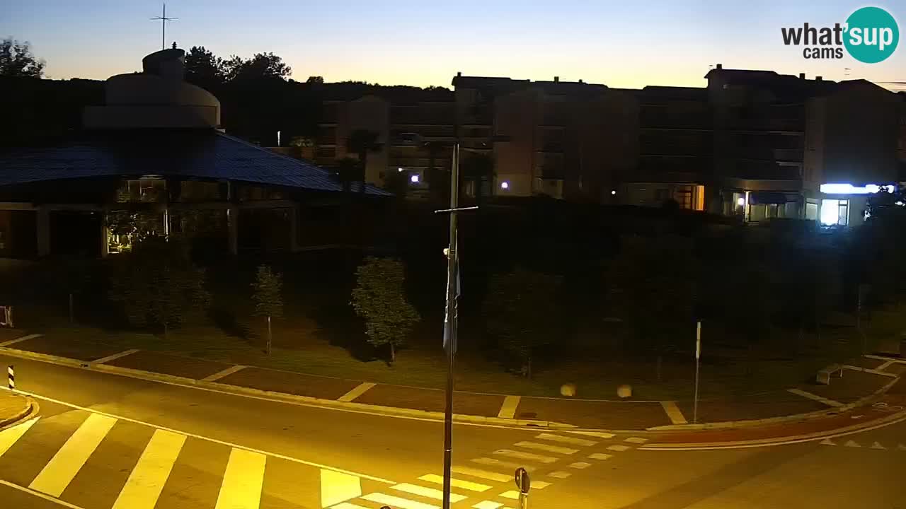 Camera en vivo Rosolina mare