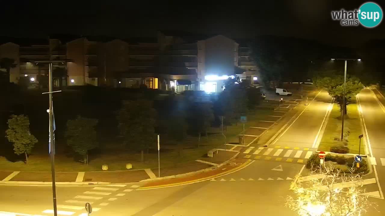 Camera en vivo Rosolina mare
