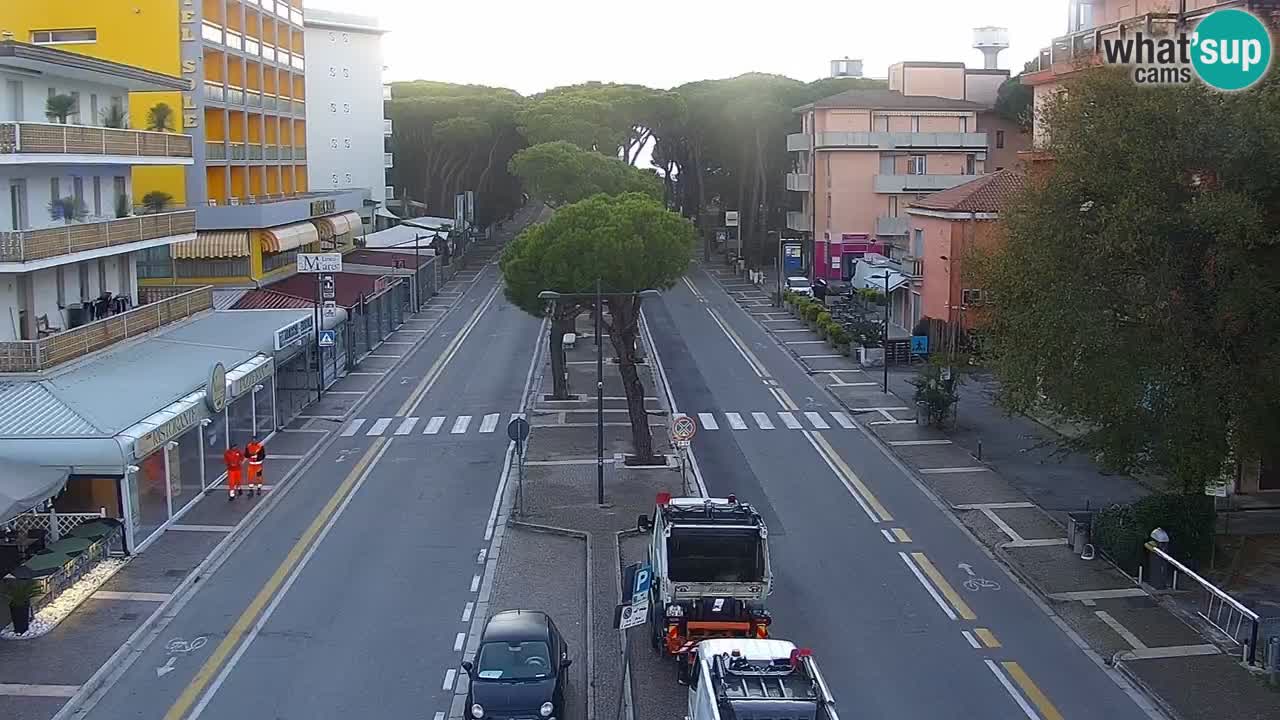 Livecam Rosolina mare