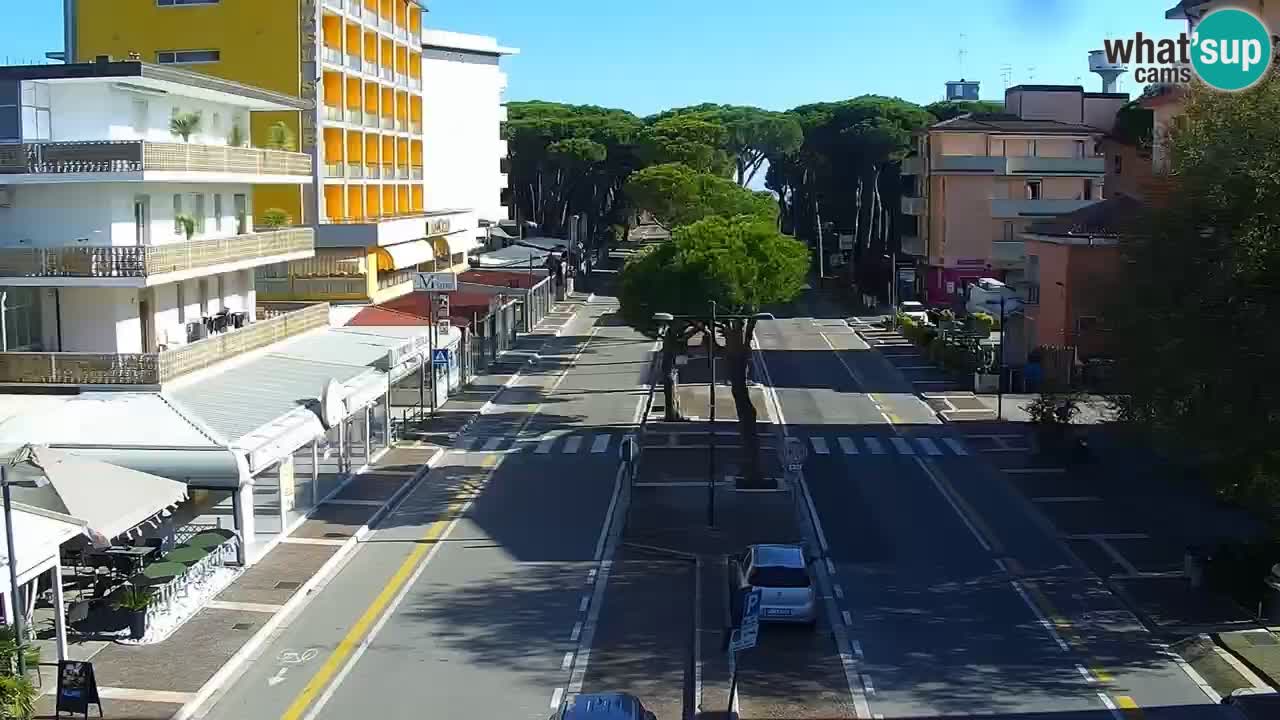 Camera en vivo Rosolina mare