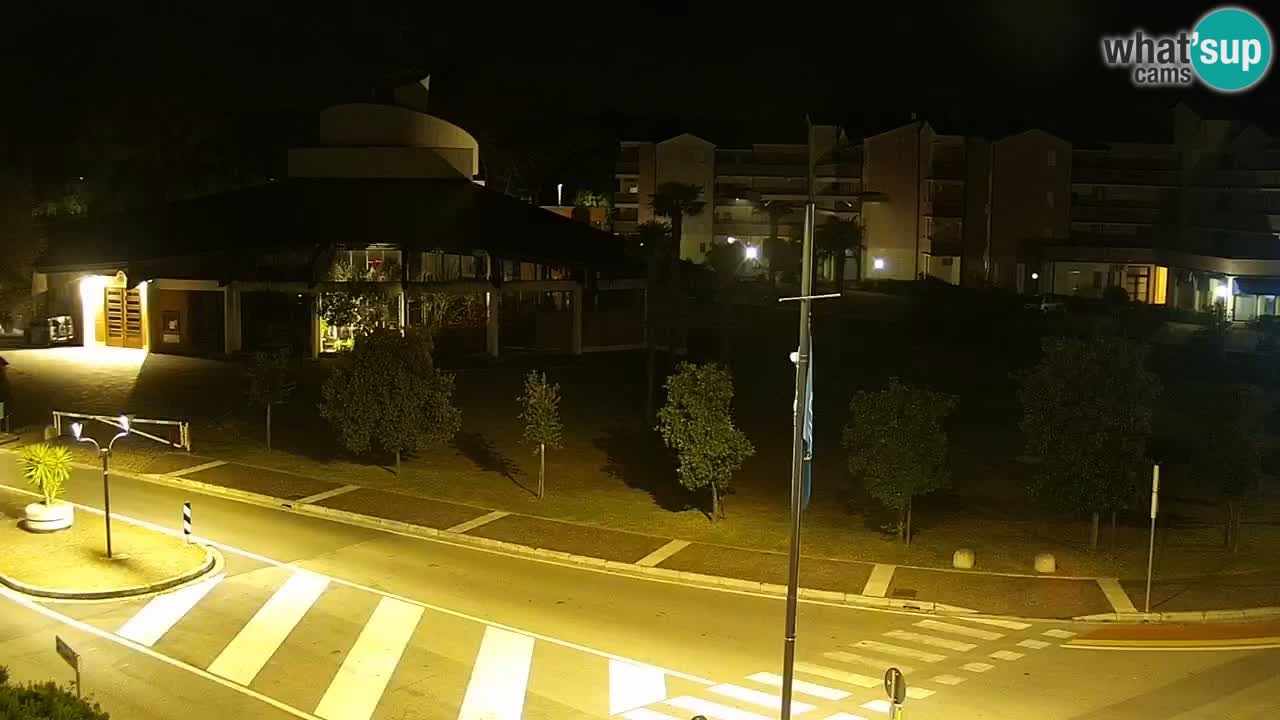 Camera en vivo Rosolina mare