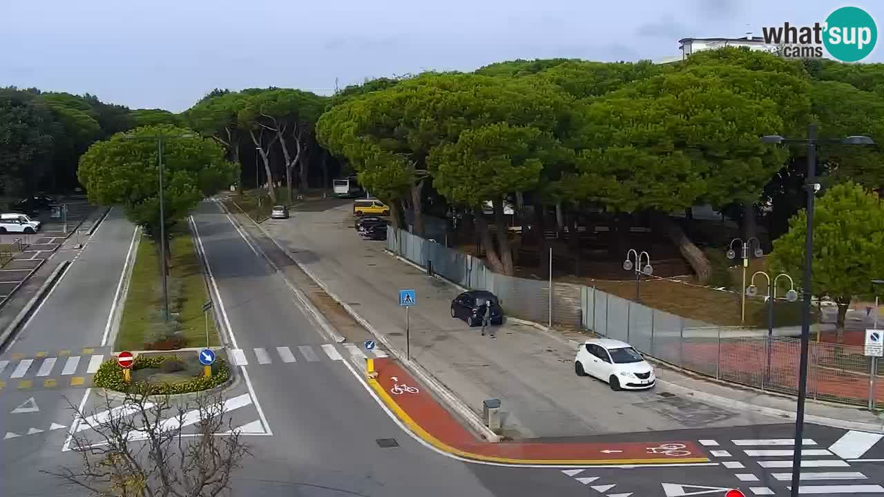 Livecam Rosolina mare