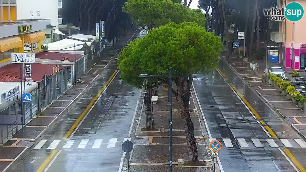 Camera en vivo Rosolina mare