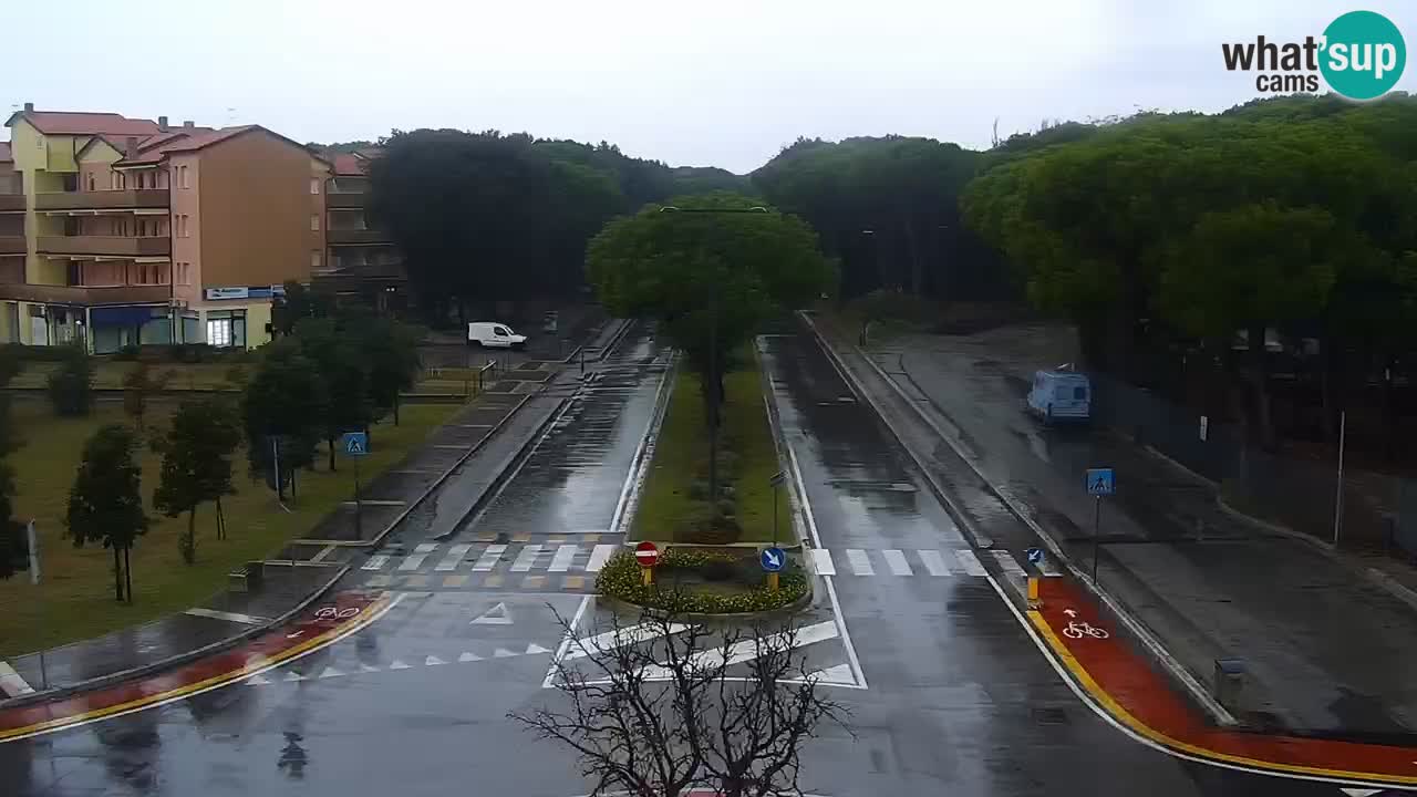 Camera en vivo Rosolina mare