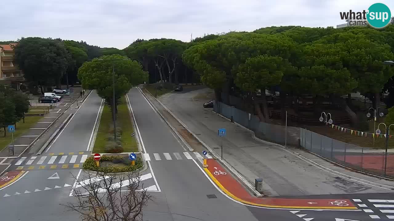 Camera en vivo Rosolina mare