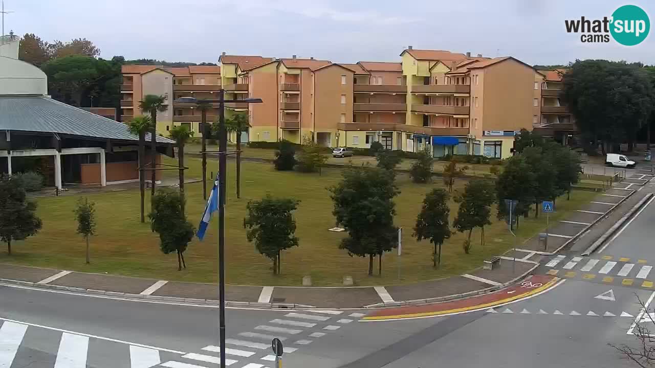 Camera en vivo Rosolina mare