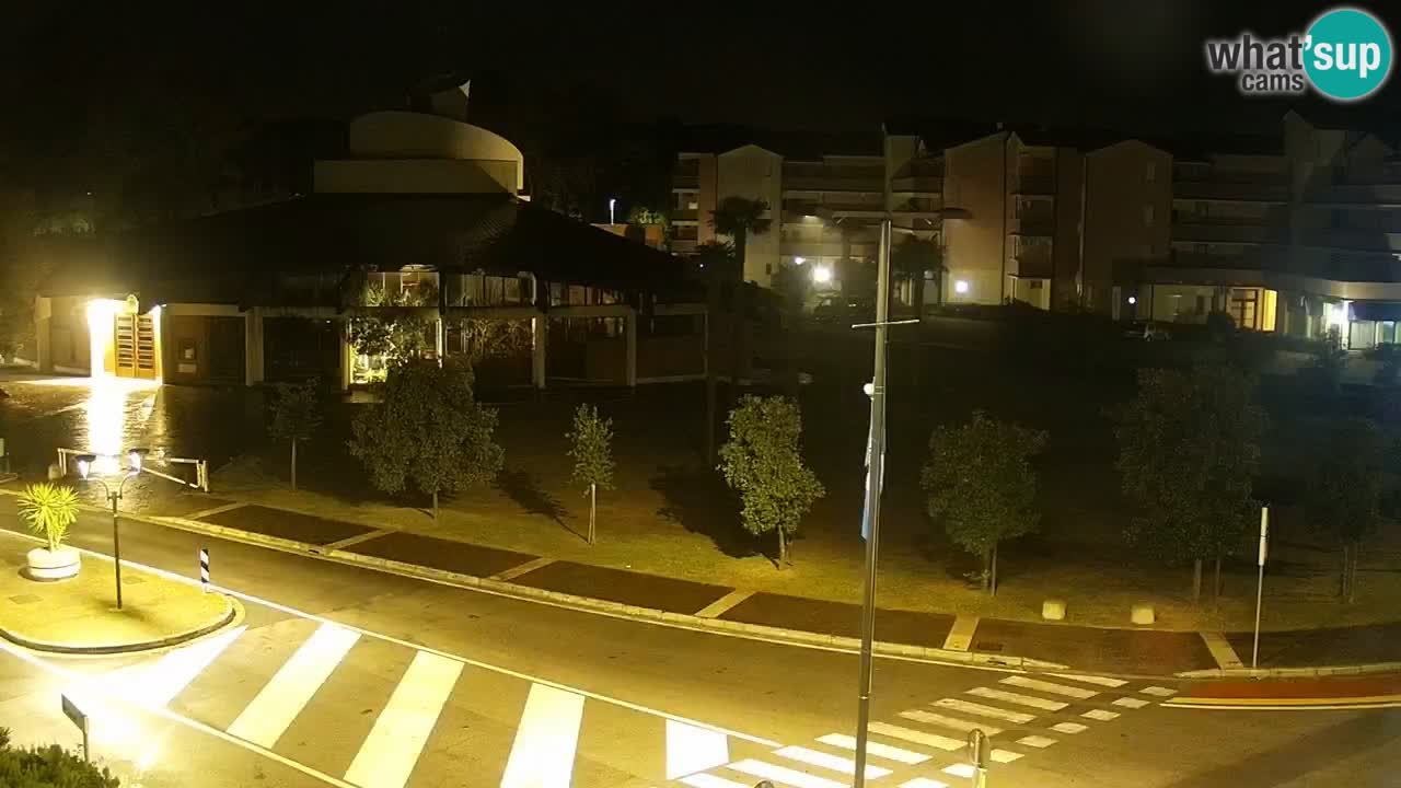 Camera en vivo Rosolina mare