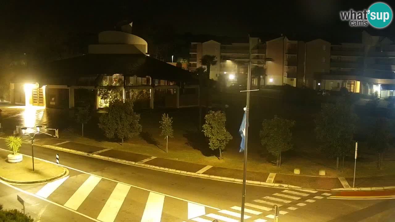 Camera en vivo Rosolina mare