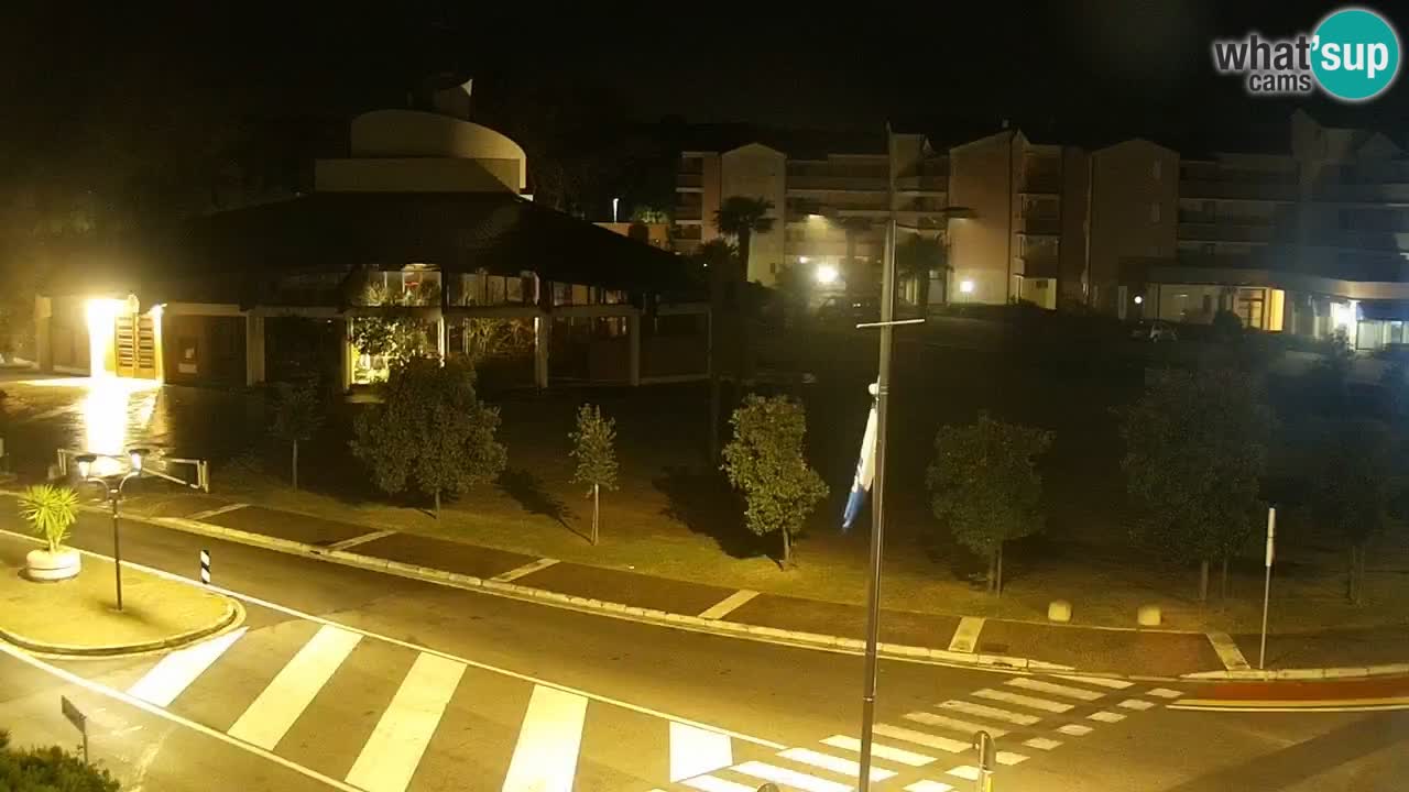 Livecam Rosolina mare