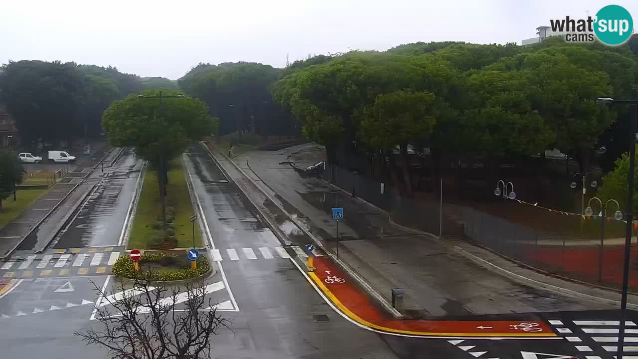 Livecam Rosolina mare