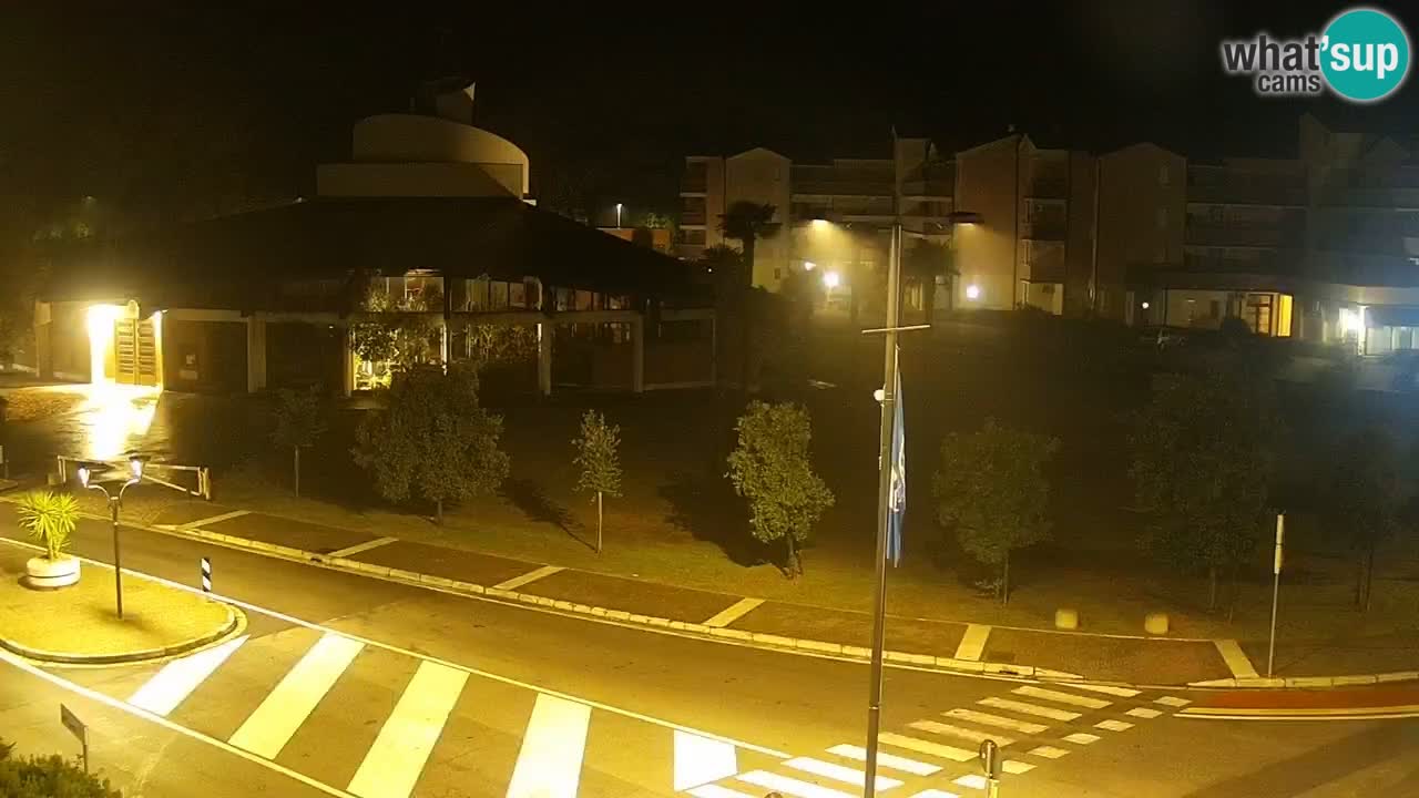 Livecam Rosolina mare