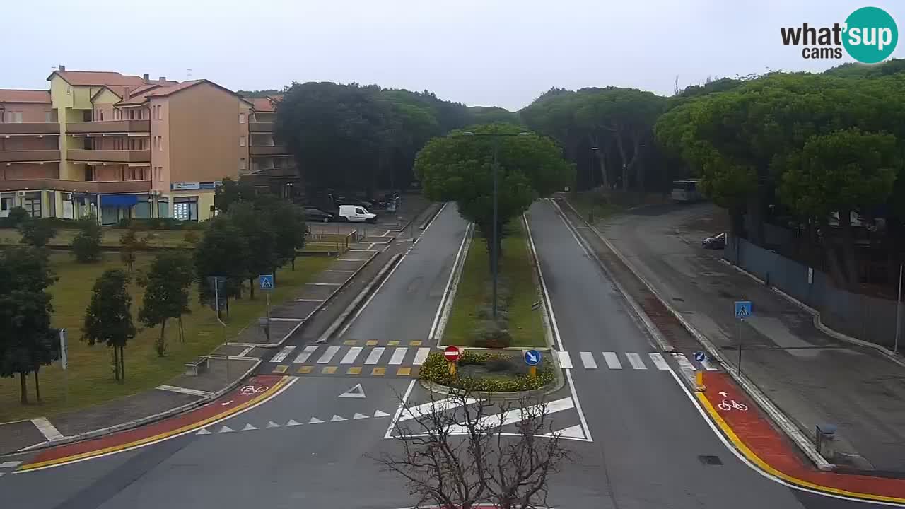 Livecam Rosolina mare