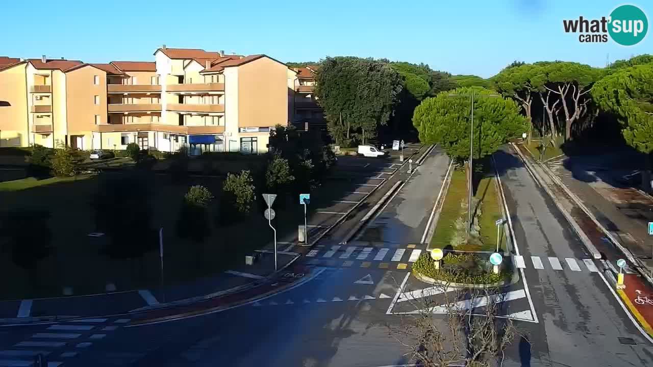 Livecam Rosolina mare