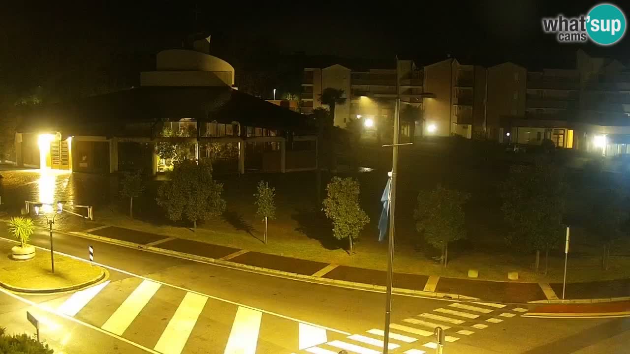 Livecam Rosolina mare