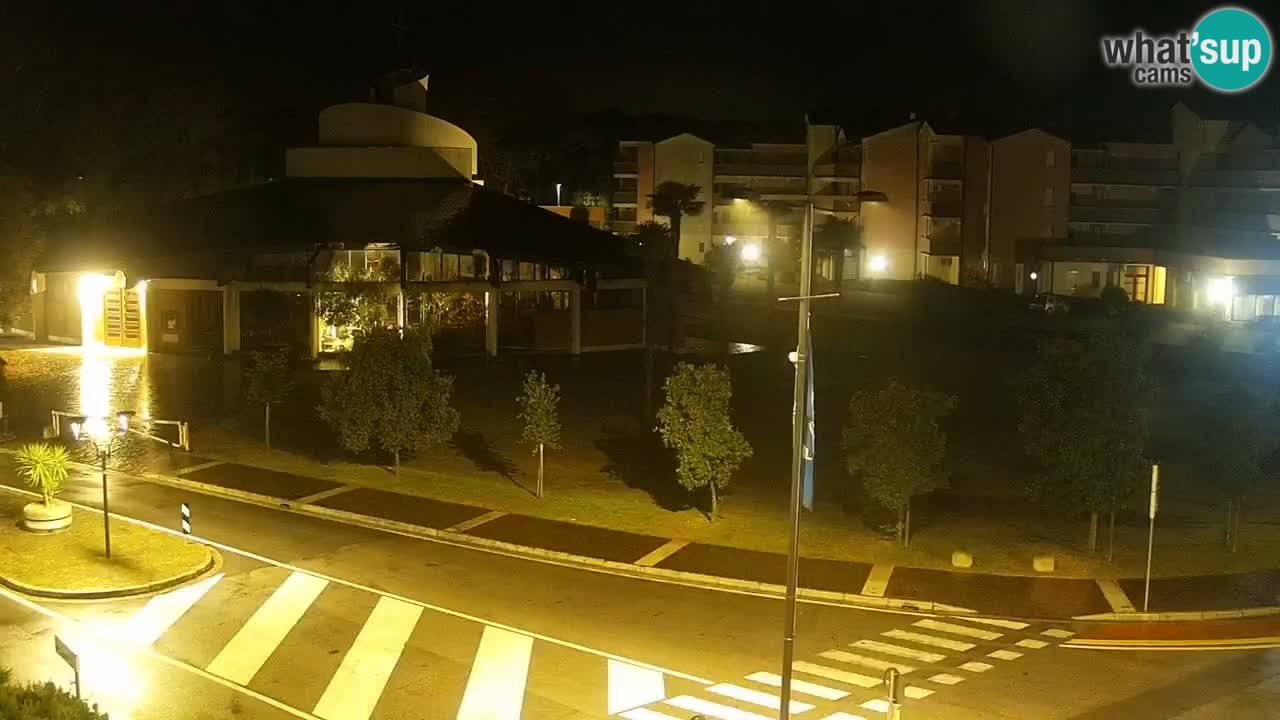 Livecam Rosolina mare