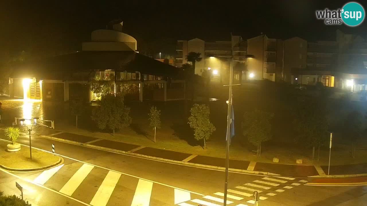 Camera en vivo Rosolina mare