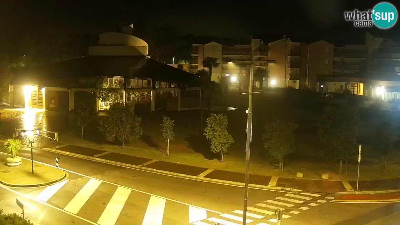 Livecam Rosolina mare