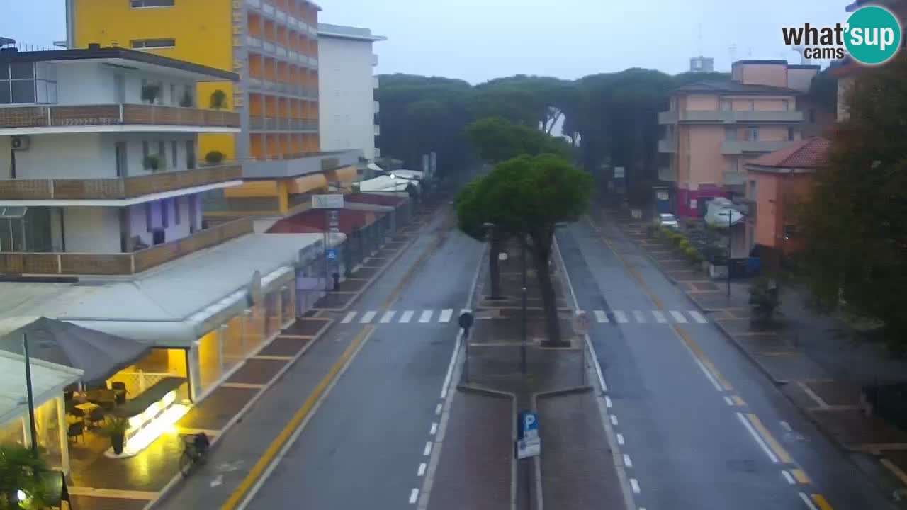 Camera en vivo Rosolina mare