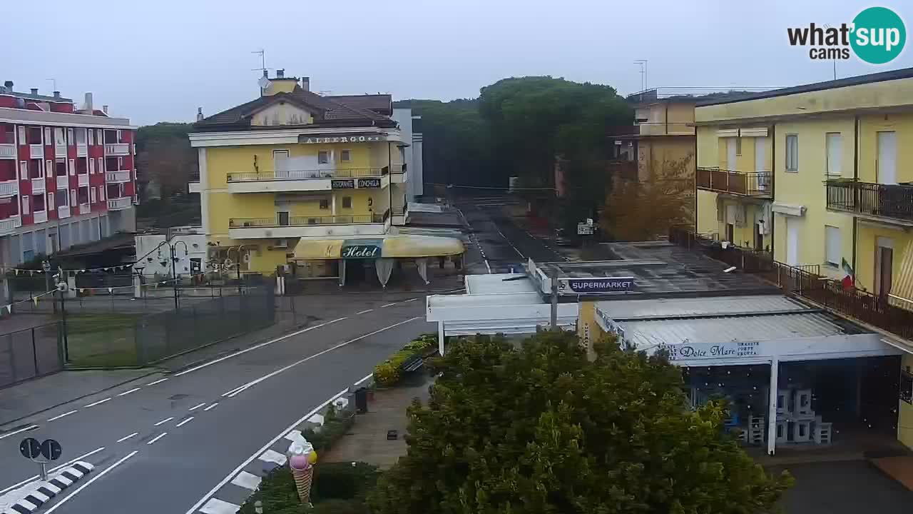 Camera en vivo Rosolina mare