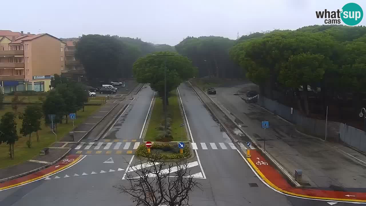 Livecam Rosolina mare