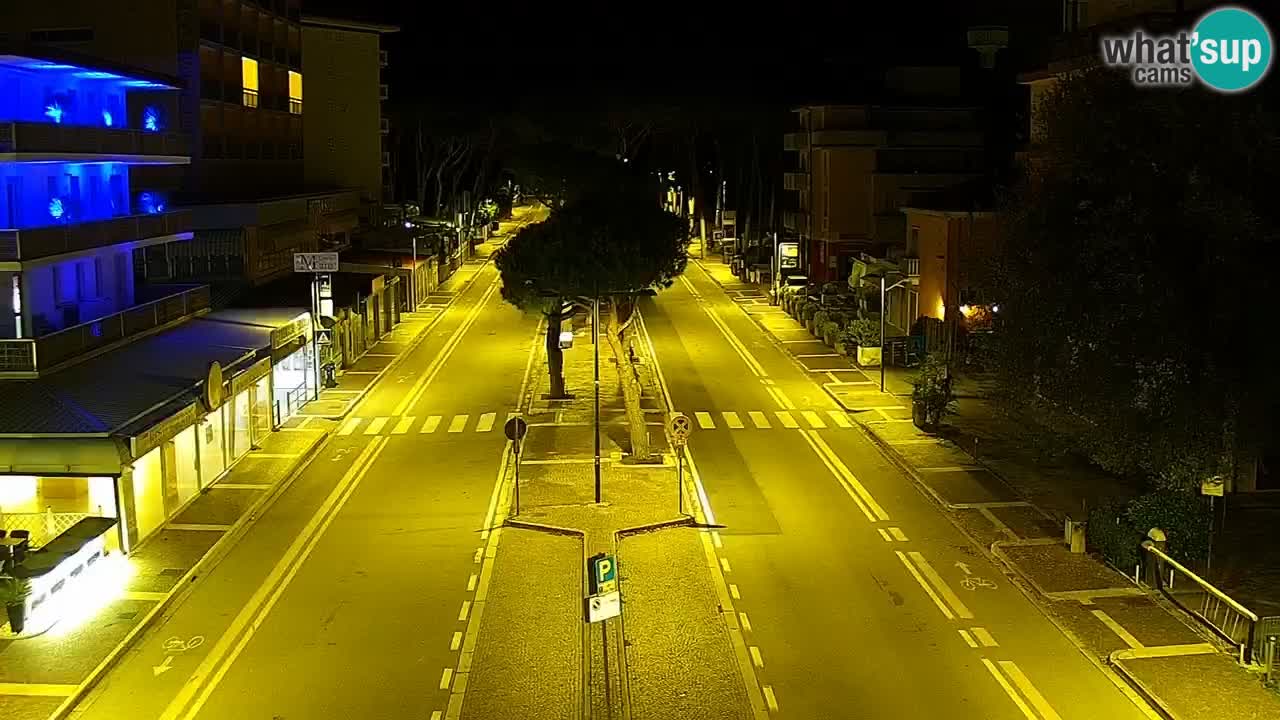 Livecam Rosolina mare
