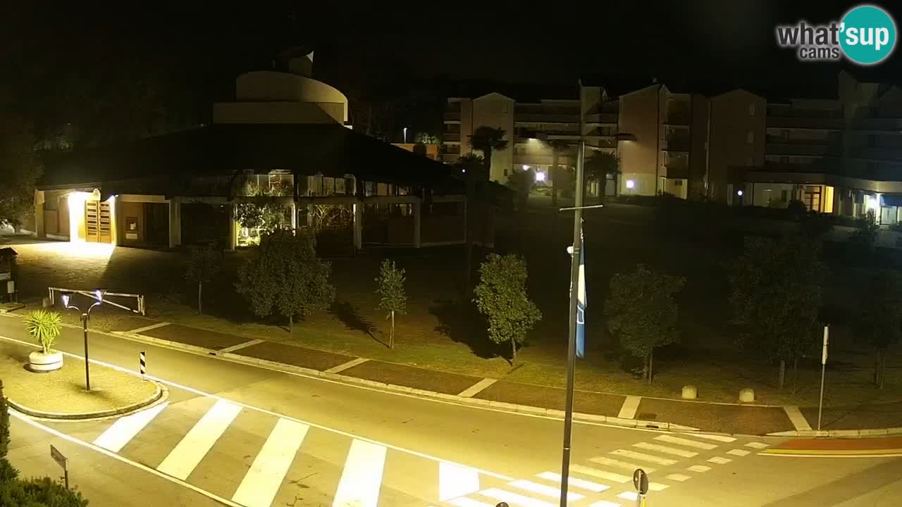 Camera en vivo Rosolina mare