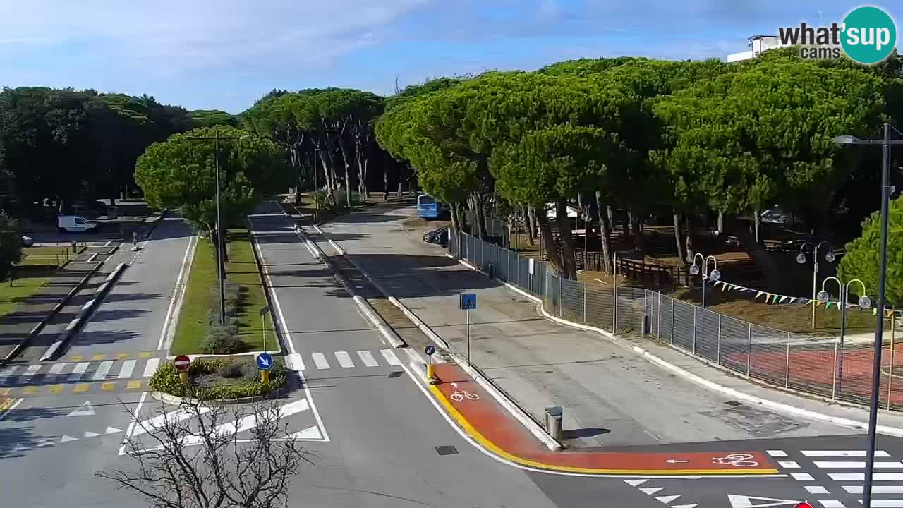 Camera en vivo Rosolina mare