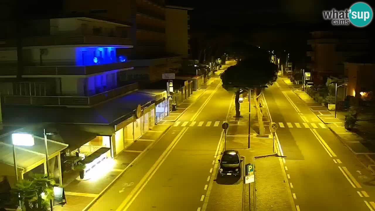 Camera en vivo Rosolina mare