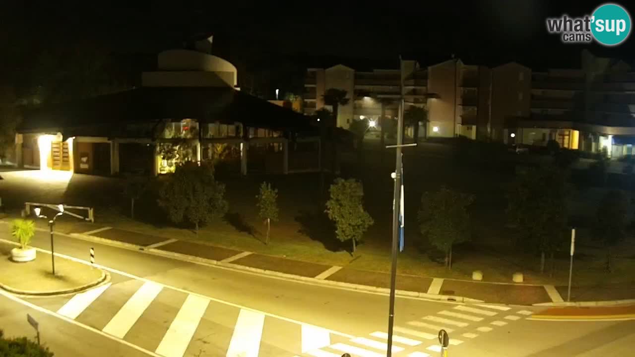 Livecam Rosolina mare